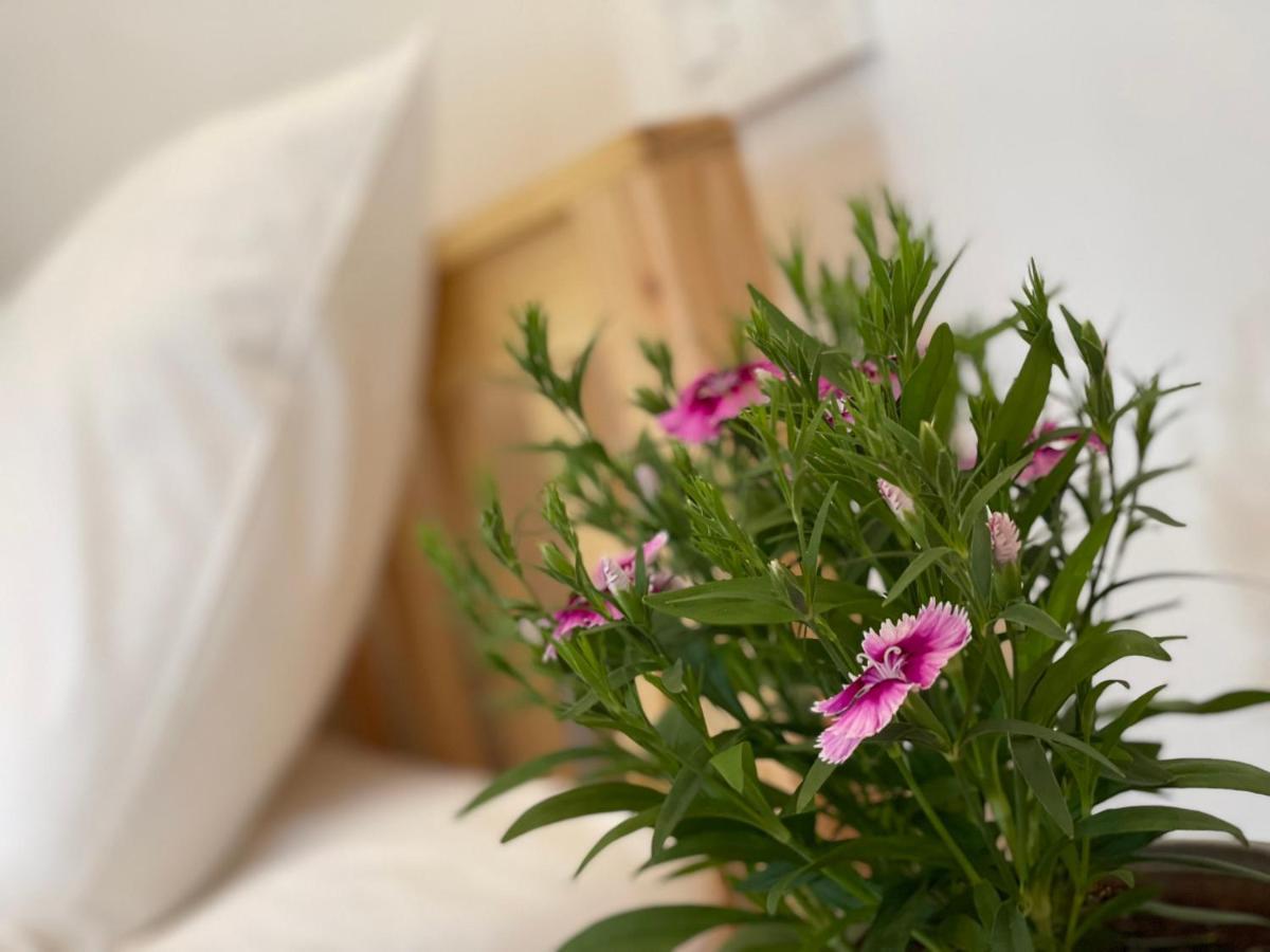 Pleiku Homestay Exteriör bild